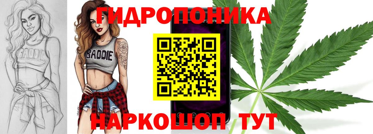Бошки Шишки сатива  Шуя  МАРИХУАНА White Widow 